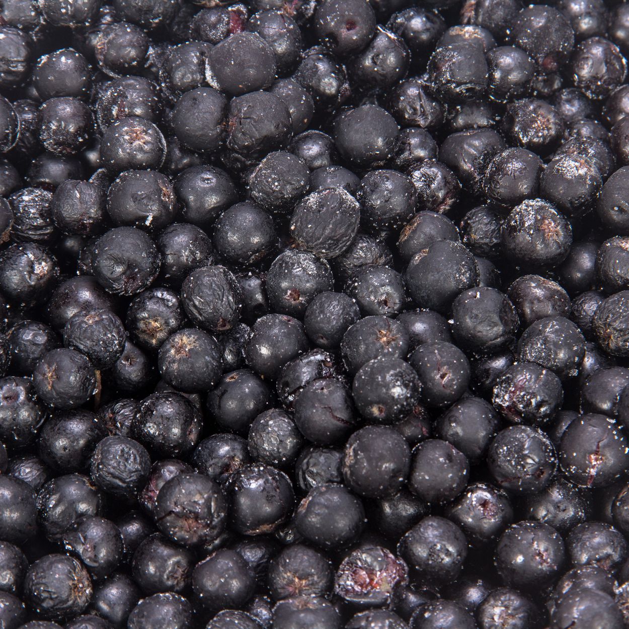 Aronia Berry