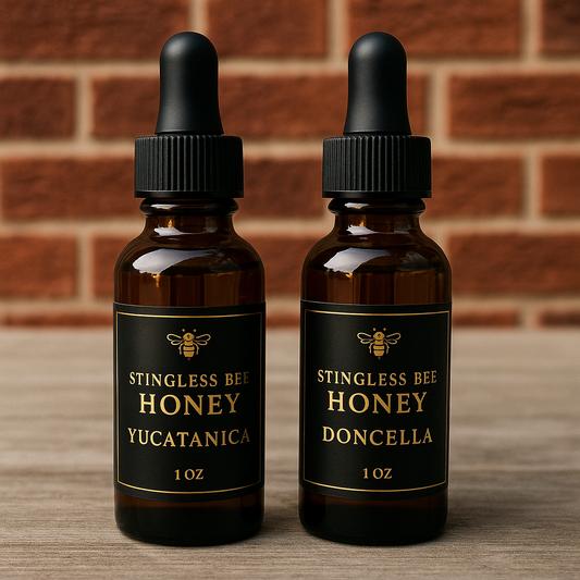 🐝 Stingless Bee Honey Bundle (Yucatanica + Doncella, 2 × 1 oz)